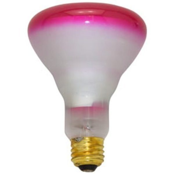 Replacement for Light Bulb / Lamp 65br30/fl/tpk 120v replacement light bulb lamp, Ilc, Mfr#: 65BR30/FL/TPK 120V LIGHT BULB / LAMP